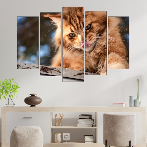 Коте и джинджифил - картина пано за стена - 3