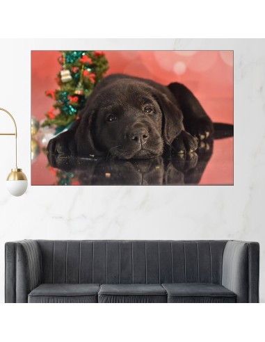 Малко черно кученце - картина пано за стена - 1