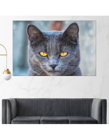 Черна котка з жълти очи - картина пано за стена - 1