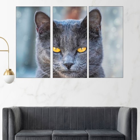 Черна котка з жълти очи - картина пано за стена - 2