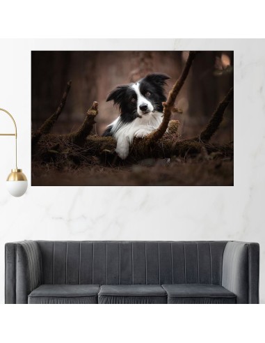 Портрет на черно -бяло куче - картина пано за стена - 2
