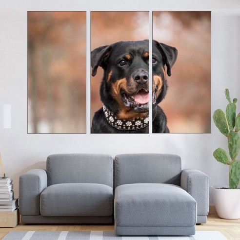 Портрет на черен ротвайлер - картина пано за стена - 1