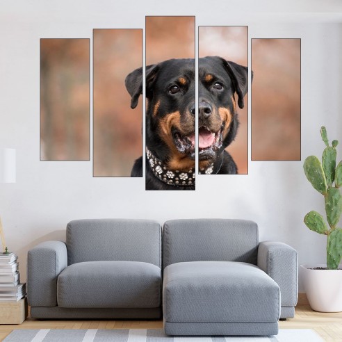 Портрет на черен ротвайлер - картина пано за стена - 3