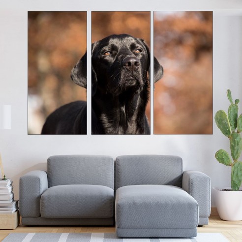 Портрет на черен лабрадор - картина пано за стена - 1