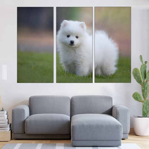 Малък бял японски шпиц - картина пано за стена - 1