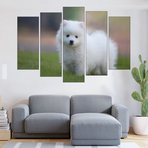 Малък бял японски шпиц - картина пано за стена - 3