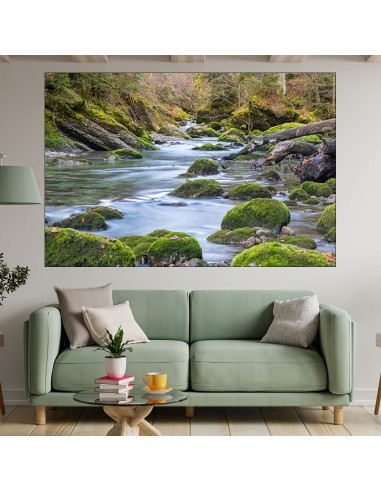 Малка рекичка в гората - картина пано за стена - 1