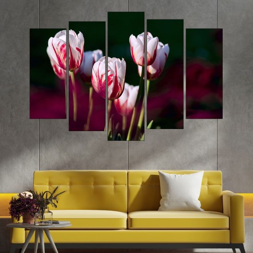 Червено-бели лалета - картина пано за стена - 3