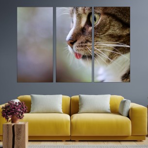 Котешка глава в близък план - картина пано за стена - 1 2