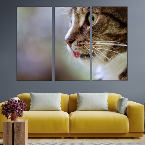 Котешка глава в близък план - картина пано за стена - 2