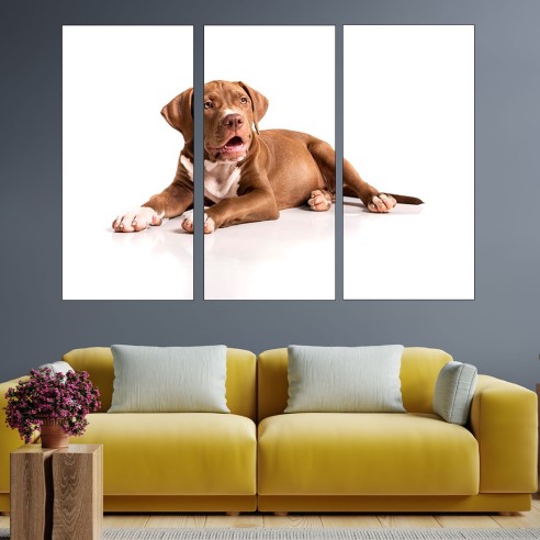 Портрет на кафяв питбул - картина пано за стена - 2