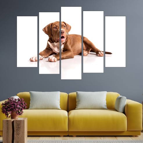Портрет на кафяв питбул - картина пано за стена - 3
