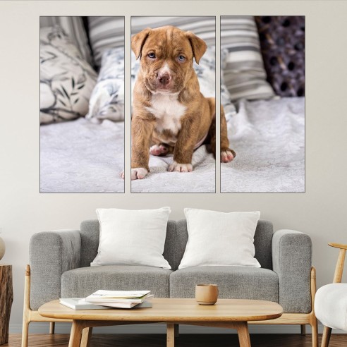 Портрет на малък питбул - картина пано за стена - 1