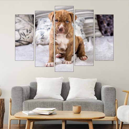 Портрет на малък питбул - картина пано за стена - 3