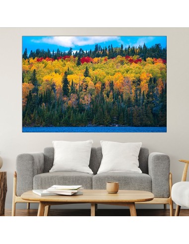 Пъстри дървета през есента - картина пано за стена - 1