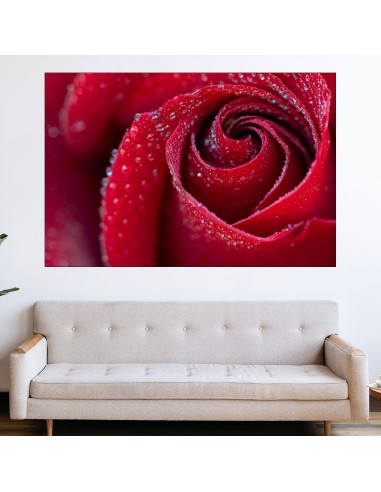 Роса по червена роза - картина пано за стена - 1