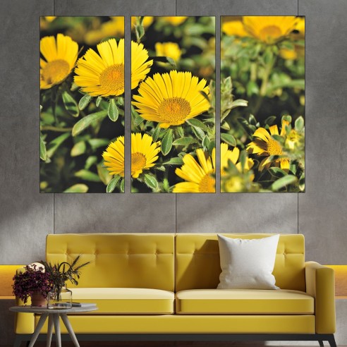 Цъфнала жълта Астра - картина пано за стена - 2