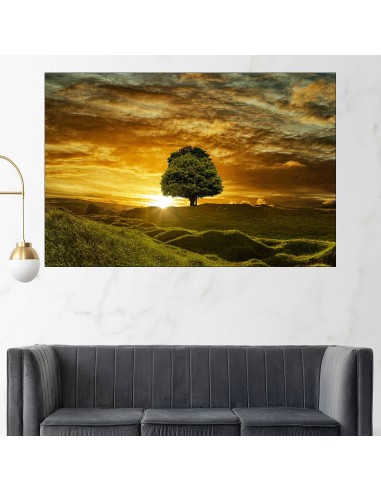 Залез и самотно дърво - картина пано за стена - 1