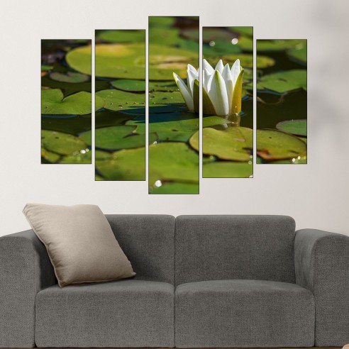 Бяла водна лилия във водата - картина пано за стена - 3