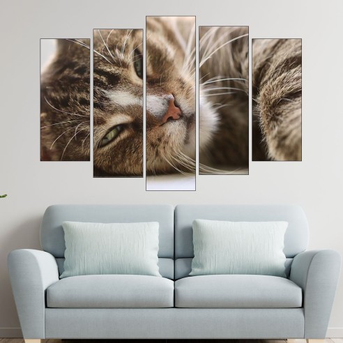 Легнала домашна котка - картина пано за стена - 3