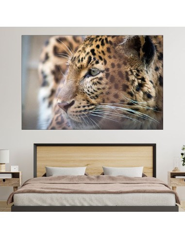 Леопард в близък план - картина пано за стена - 1