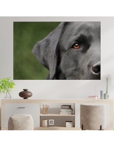 Потрет на куче лабрадор - картина пано за стена - 1