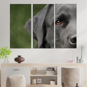 Потрет на куче лабрадор - картина пано за стена - 1 2