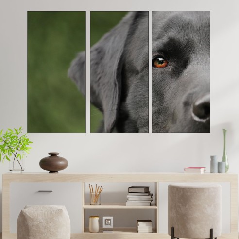 Потрет на куче лабрадор - картина пано за стена - 2