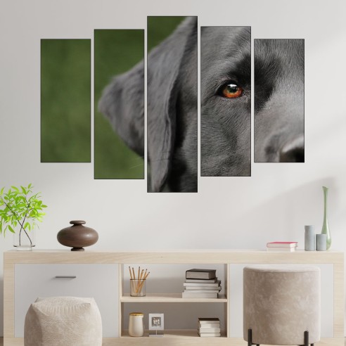 Потрет на куче лабрадор - картина пано за стена - 3