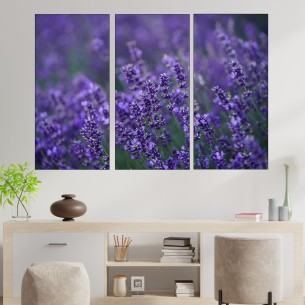 Цъфнала в полето лавандула - картина пано за стена - 1 2