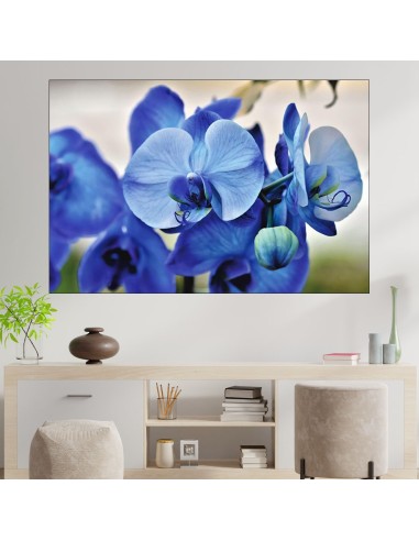 Сини орхидеи отблизо - картина пано за стена - 1