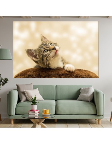 Малко коте - портрет - картина пано за стена - 1