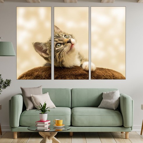 Малко коте - портрет - картина пано за стена - 2