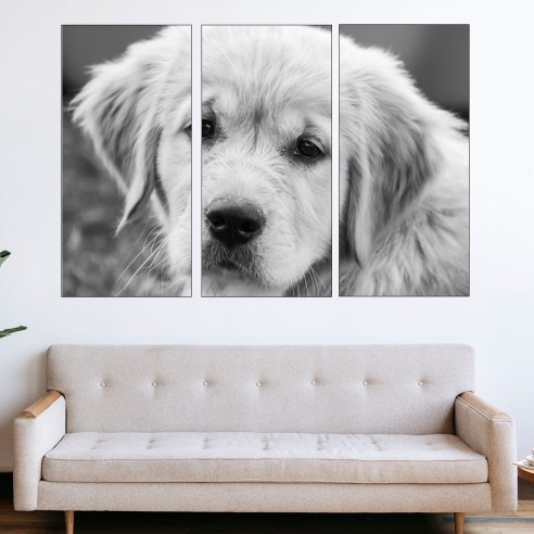Близък кадър на голдън ретривър - картина пано за стена - 2