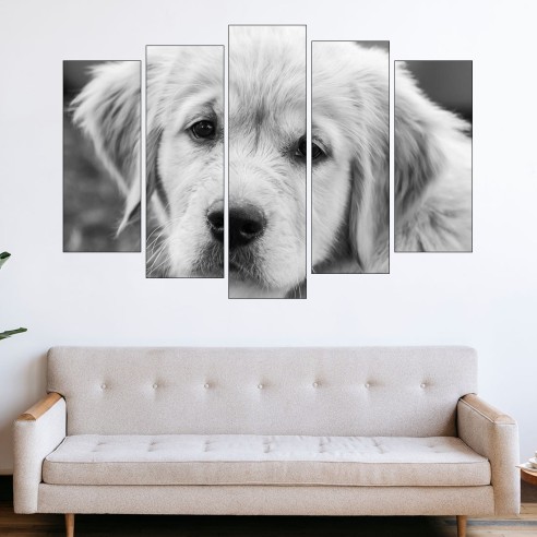 Близък кадър на голдън ретривър - картина пано за стена - 3