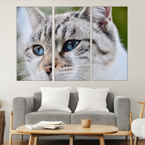 Потрет на котка със съни очи - картина пано за стена - 2