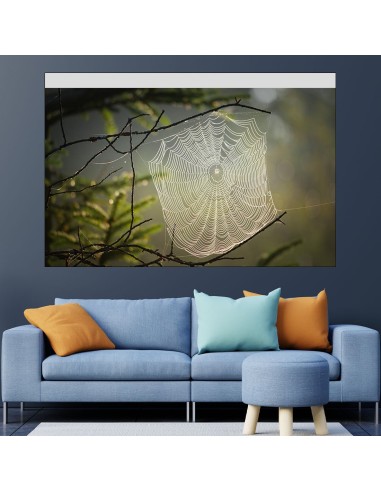 Паяжина в гората - картина пано за стена - 1