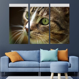 Близък кадър на котка - картина пано за стена - 1 2