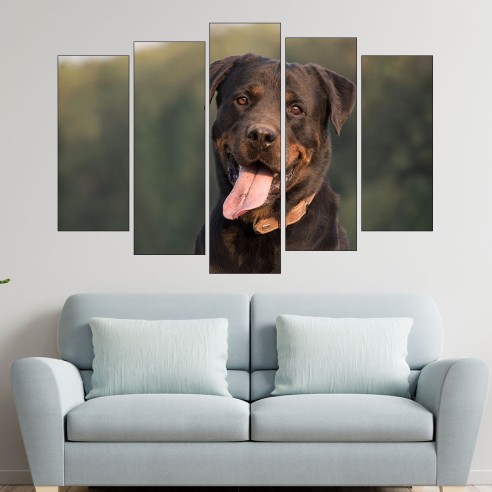 Близък кадър на ротвайлер - картина пано за стена - 3