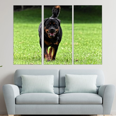 Ротвайлер на поляната - картина пано за стена - 2