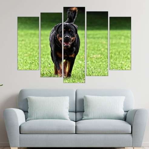 Ротвайлер на поляната - картина пано за стена - 3