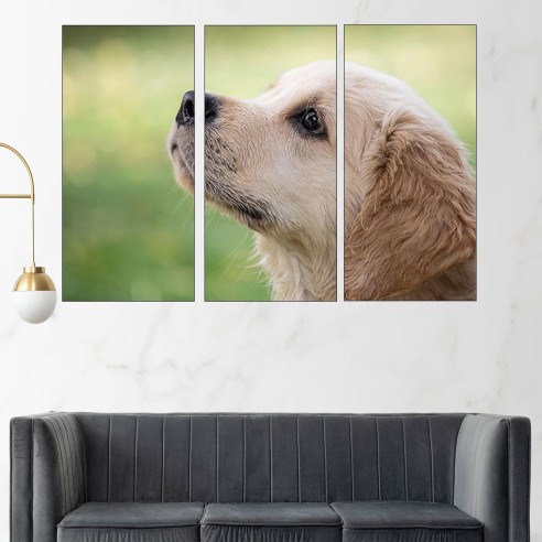 Малък голдън ретривър - картина пано за стена - 2