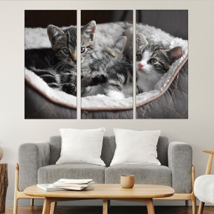 Малки котета в панер  - картина пано за стена - 1 2