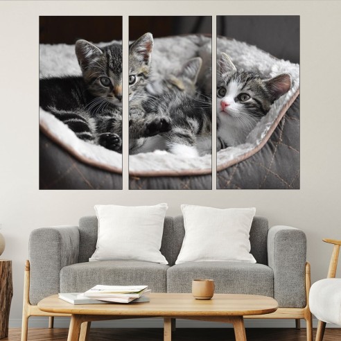 Малки котета в панер  - картина пано за стена - 2