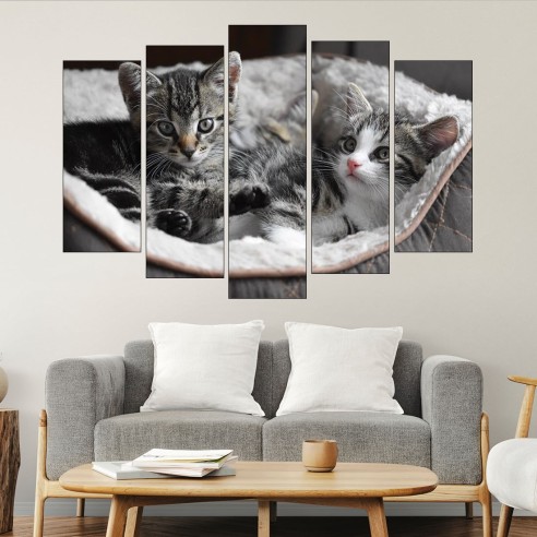 Малки котета в панер  - картина пано за стена - 3