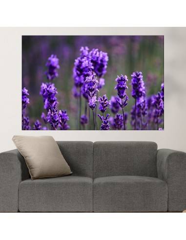 Виолетова лавандула в полето  - картина пано за стена - 1