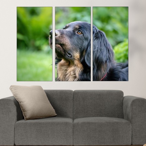 Потрет на черен Ховаварт  - картина пано за стена - 2