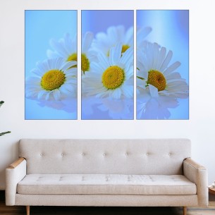 Бели маргаритки  - картина пано за стена - 1 2