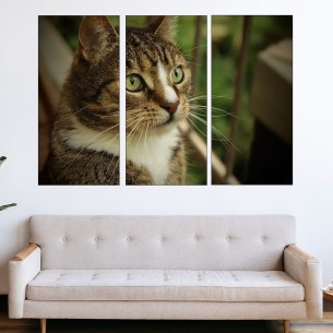 Портрет на домашна котка  - картина пано за стена - 1 2