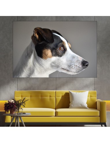 Портрет на куче Джак Ръсел  - картина пано за стена - 1